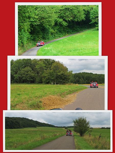Schwarzwalder Hochwald dag 2- (161).jpg